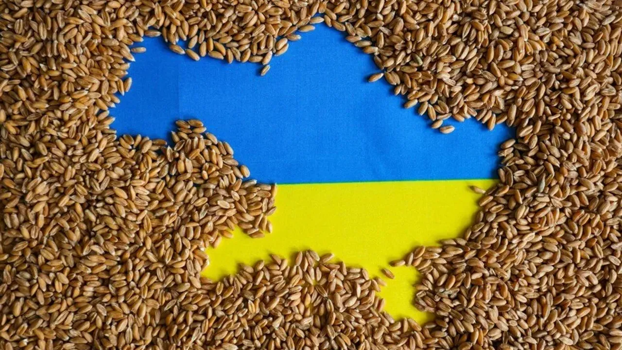 Ukrayna'dan Somali'ye 25 bin ton buğday desteği iddiası