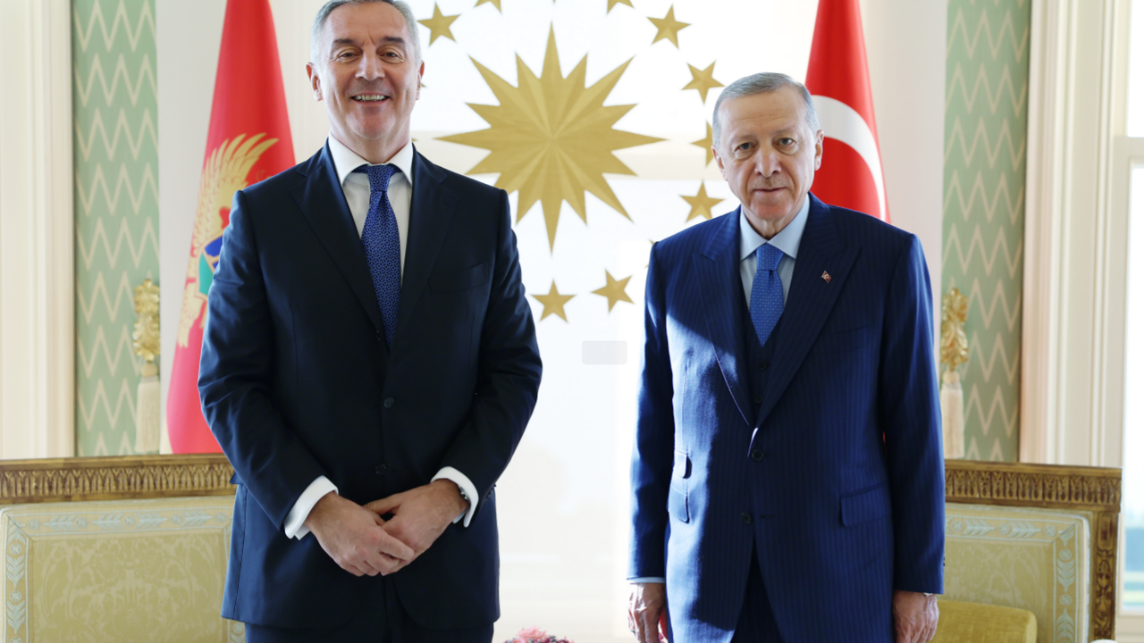 Cumhurbaşkanı Erdoğan, Djukanovic ile görüştü
