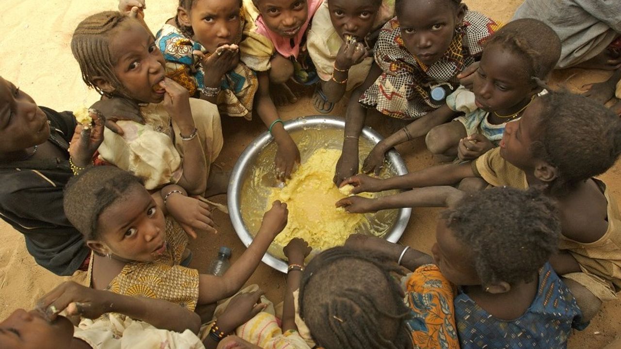 BM, "Batı Afrika'da 48 milyon kişi açlık sınırında"