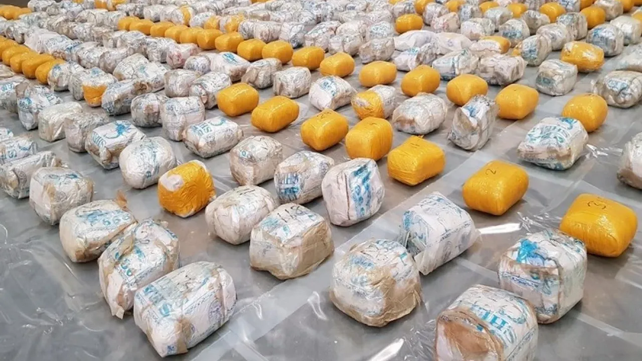 Hollanda'da 5 ton kokain ele geçirildi