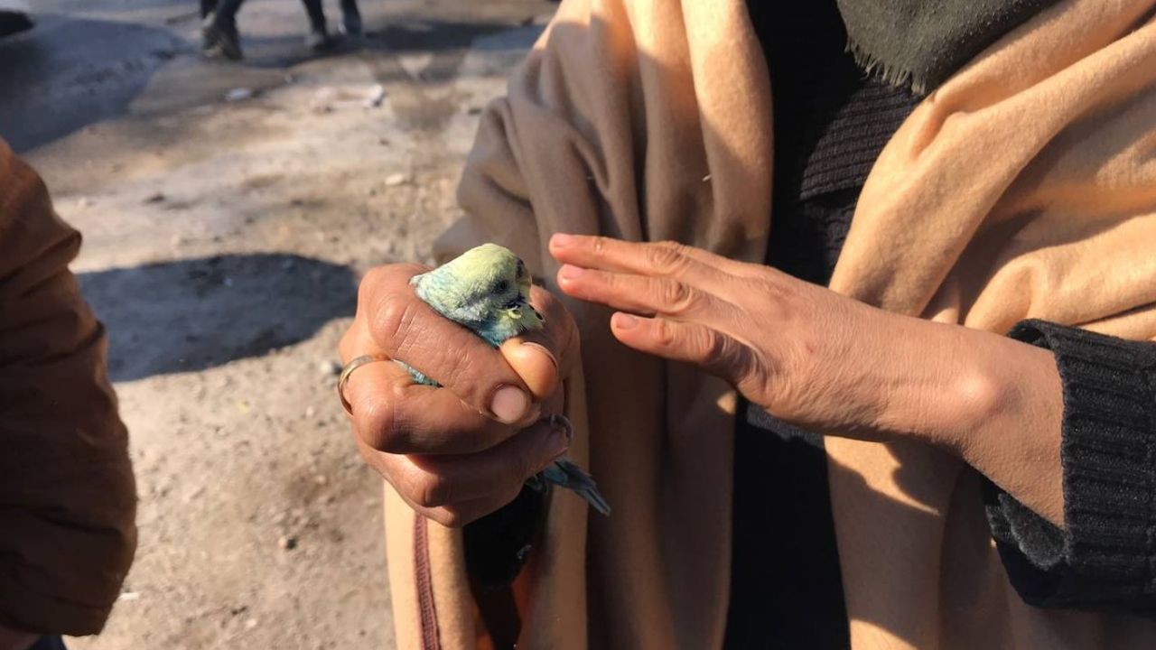 Küçük Berat, 55 saat sonra muhabbet kuşuyla sağ çıkarıldı