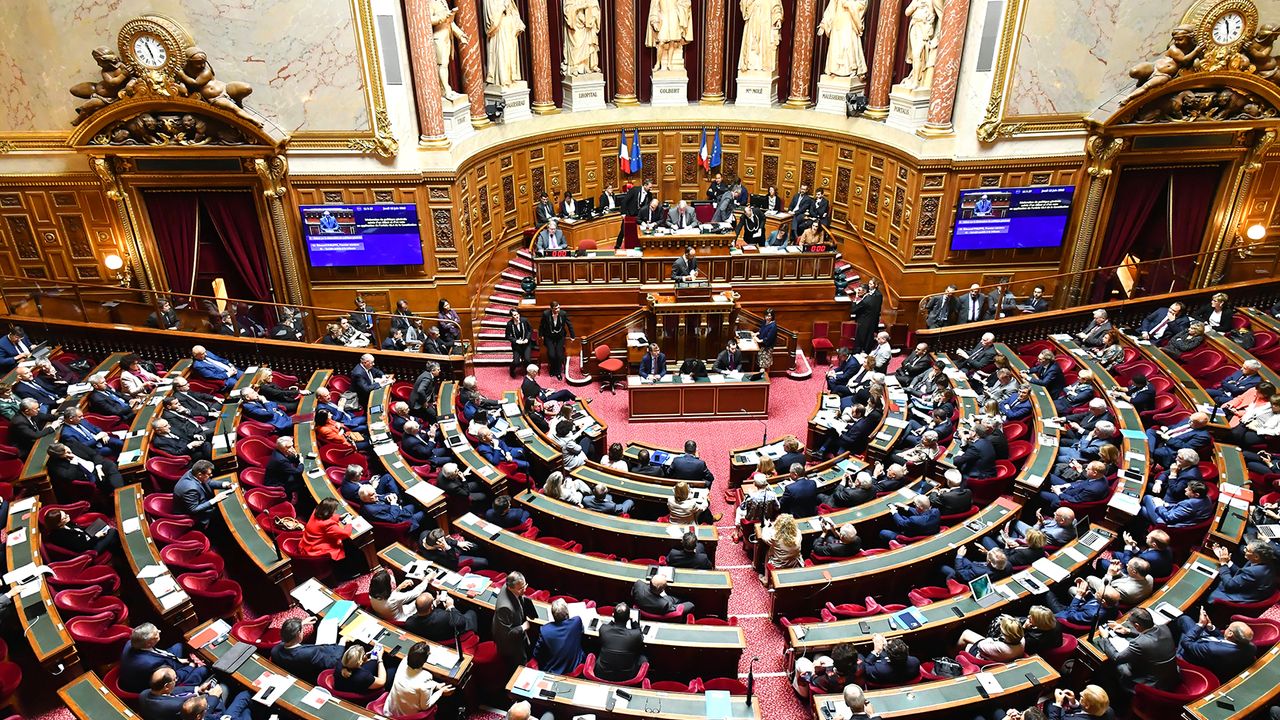 Fransa Senatosu tartışmalı maddeyi onayladı