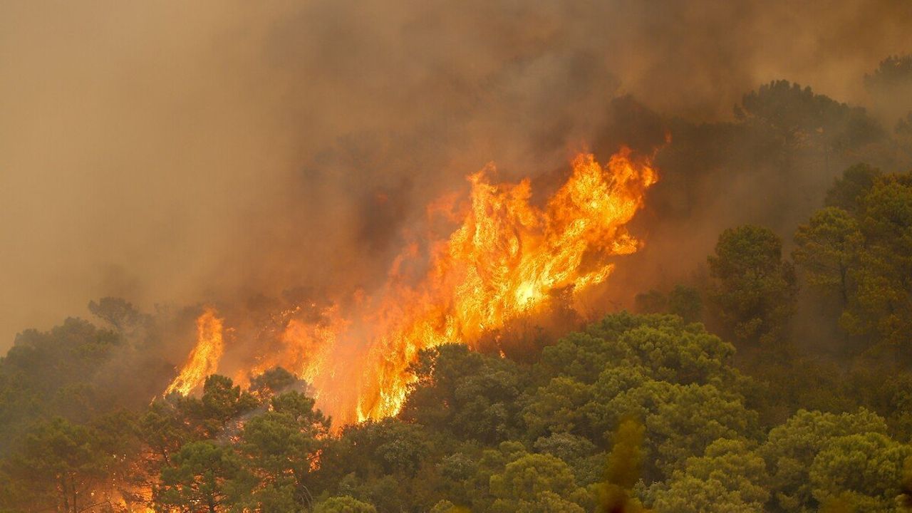 İspanya'da orman yangını: 250 kişi tahliye edildi