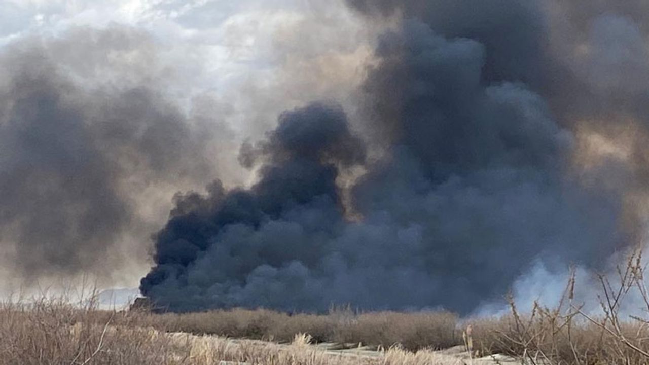 Kayseri'deki Milli Park'ta çıkan yangın söndürüldü