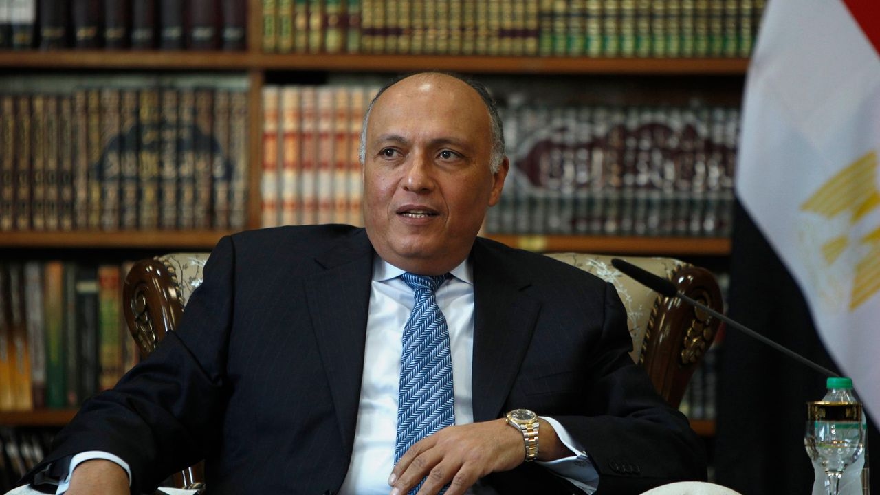 Mısır Dışişleri Bakanı Şukri yarın Türkiye'ye geliyor