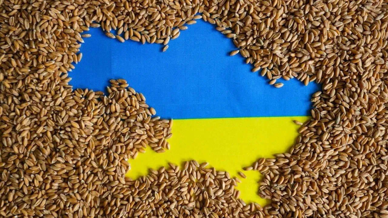 Ukrayna, tarım ürünleri ithalatını yasaklayan 3 ülkeye dava açtı