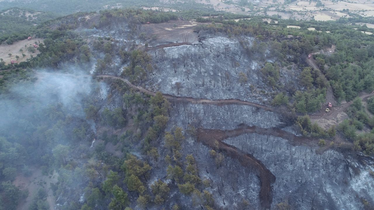 Çanakkale'deki orman yangını havadan görüntülendi