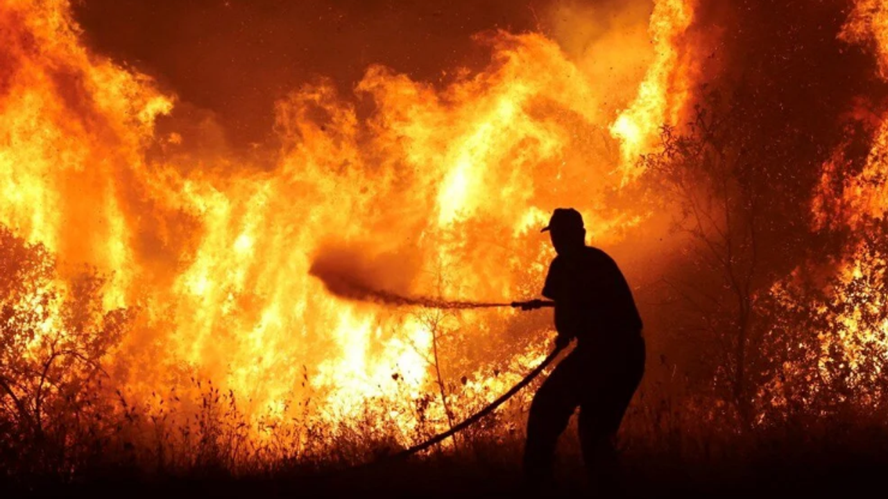 Yunanistan'da 15 günde 470 bin dönüm ormanlık alan yandı
