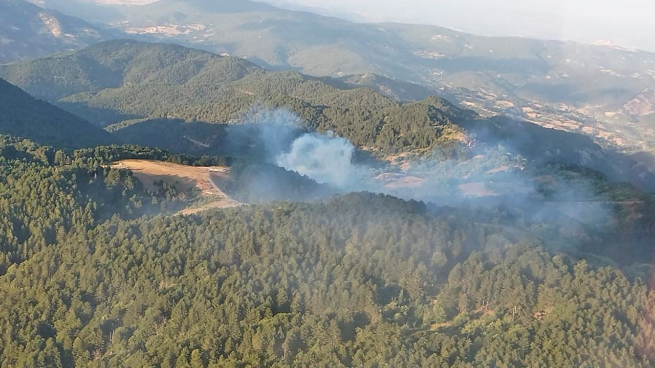 Bolu’daki orman yangını kontrol altına alındı