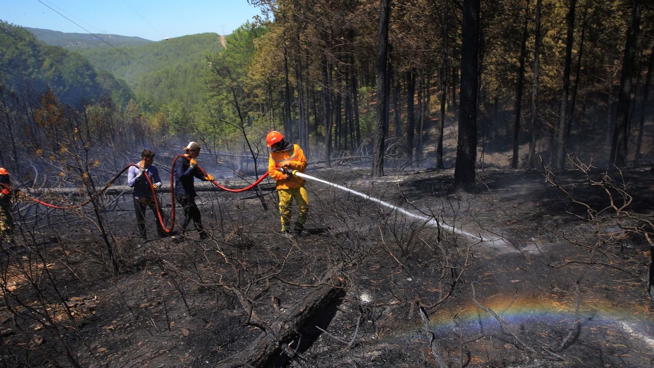 Bilecik ve Bursa'daki orman yangını 18'inci saatinde kontrol altında