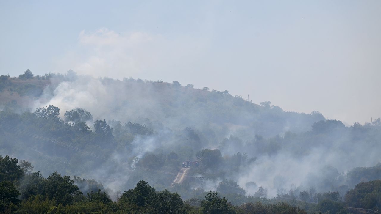 Türkiye - Bulgaristan sınırında orman yangını