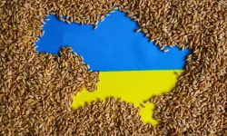 Polonya, Ukrayna'dan tahıl ithalatını kısıtlayacak
