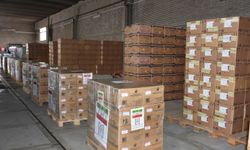 İran'dan Türkiye’ye 6 ton tıbbi yardım malzemesi