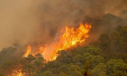 Kanada'da orman yangınlarından yükselen dumanlar ABD'ye ulaştı