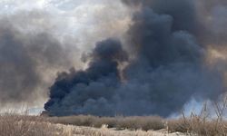 Kayseri'deki Milli Park'ta çıkan yangın söndürüldü