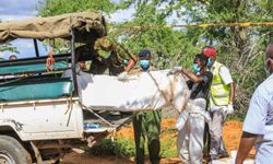 Kenya'da tarikatla bağlantılı ölümler giderek artıyor