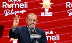 Cumhurbaşkanı Erdoğan: ABD'li yetkililer, Türkevi'ne saldıran teröristi bulmanız gerekiyor