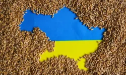 Ukrayna Tahıl Anlaşması'nın durdurulduğunu iddia etti