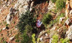 Alanya'da kayalıklara düşen yamaç paraşütü pilotu yaralandı