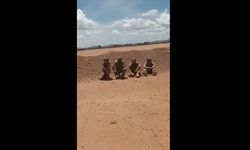 Çad ordusu Fransız askerlerin silahlarını alarak tek sıraya dizdi