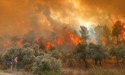 Muğla'da orman yangınına müdahale ediliyor