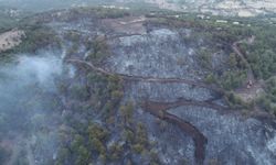 Çanakkale'deki orman yangını havadan görüntülendi