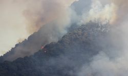 Hatay'da orman yangını: Alevlerin yaklaştığı evler tahliye edildi