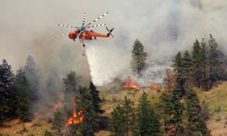 Kanada'da yangınlara müdahale eden helikopter düştü: 1 ölü