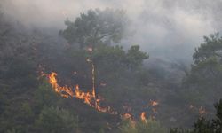 Manisa'daki orman yangını 2 gündür sürüyor
