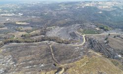 Çanakkale'deki orman yangını sonrası hayat normale dönmeye başladı