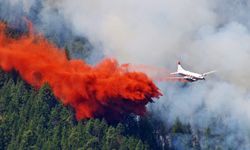Yunanistan'da yangına müdahale eden bir uçak düştü