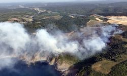 Beykoz’da çıkan orman yangını söndürüldü