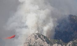 Antalya'daki orman yangına havadan ve karadan müdahale sürüyor