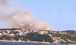 İstanbul Beykoz'da ormanlık alanda yangın