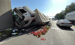 Anadolu Otoyolu'nda zincirleme trafik kazası ulaşımı aksattı