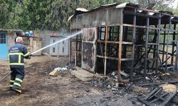 Amasya'da yangın: 50 güvercin telef oldu