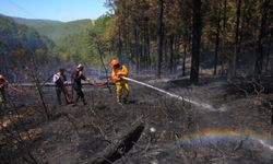 Bilecik ve Bursa'daki orman yangını 18'inci saatinde kontrol altında