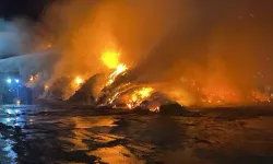 Balıkesir'de OSB'de yangın