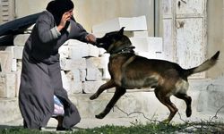 İşgalci militanlar, Filistinli 5 kadını köpek ve silah zoruyla soyunmaya zorladı