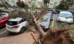 İstanbul'da yağış ve fırtına: 4 bin 566 olaya müdahale edildi