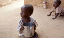 DSÖ: Yılda 1 milyon çocuk yetersiz beslenme nedeniyle ölüyor