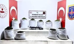 Diyarbakır'da 454 kilogram uyuşturucu ele geçirildi