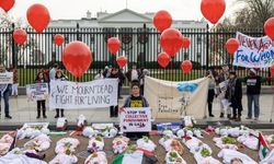 Beyaz Saray'ın önüne kefene sarılmış bebekler bırakıldı