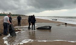 Antalya Valiliği'nden sahilde bulunan cansız bedenlerle ilgili açıklama