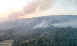 Çanakkale, Uşak ve İzmir'de çıkan orman yangınları sürüyor