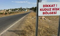 Niğde'de kuduz karantinası başlatıldı