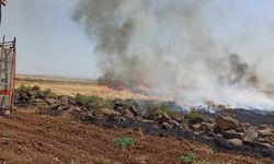 Şırnak'ta anız yangını: 100 dönüm alan zarar gördü