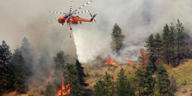 Kanada'da 800'e yakın orman yangını halen kontrol altına alınamadı