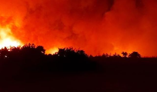 Osmaniye Kadirli'de çıkan orman yangını kontrol altına alınamadı