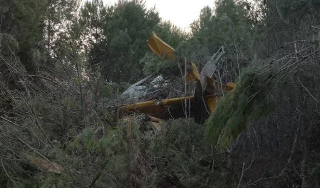 Yunanistan'da yangın söndürme uçağı düştü